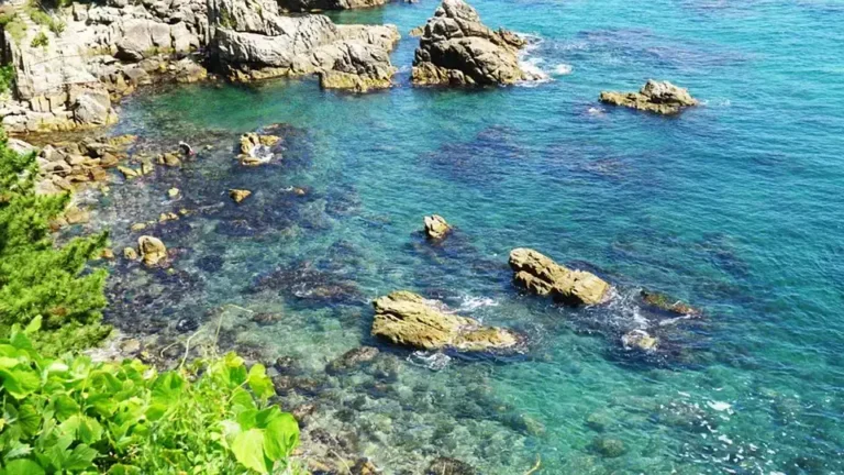 2024年】韓国の8月の気温、服装や持ち物！