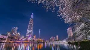 夜桜とタワーの夜景